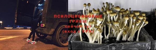 соль курить ск Вязьма